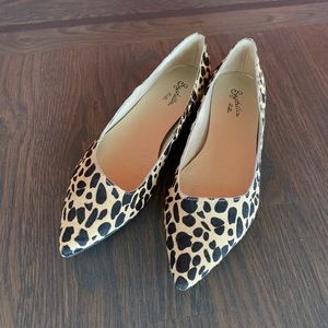 Gorgeous Leopard Pointy Toe flats!